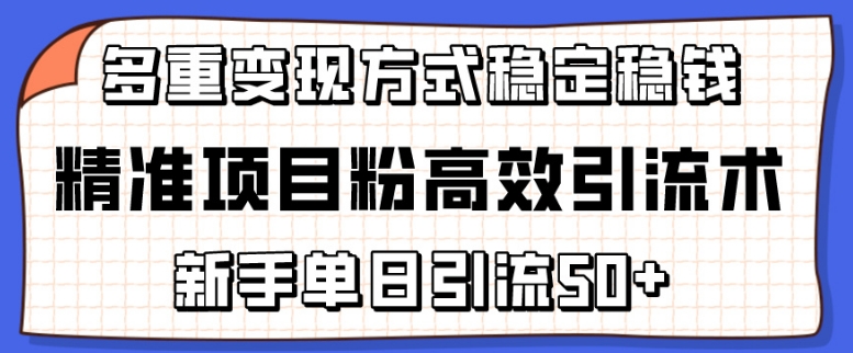 精准项目粉高效引流术,新手单日引流50+,多重变现方式稳定赚钱-网创联盟云网创