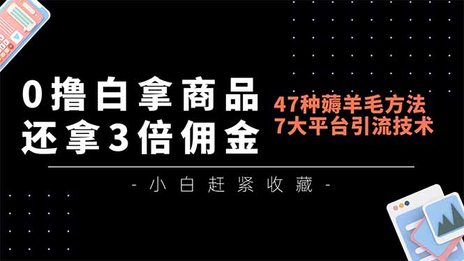0撸白拿商品，还拿3倍佣金，47种薅羊毛方法，7大平台全方位引流技术教学，精专月入过万-网创联盟云网创