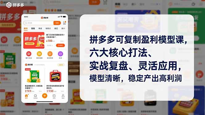 拼多多可复制盈利模型课,六大核心打法、实战复盘、灵活应用,模型清晰,稳定产出高利润-网创联盟云网创