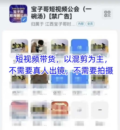 宝子哥头部团队短视频带货,以混剪为主,不需要真人出镜,不需要拍摄【更新12月】-网创联盟云网创